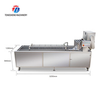 Commerciële Groente Fruit Wasmachine Industriële Bubbel Wasmachine Fruit