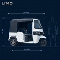 3 Wheel Electric Passenger Vehicle TukTuk With Canvas Canopy for Tourist Sightseeing Easy Maintenance Bulk Order