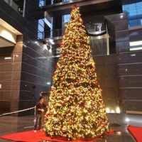 Sapin de Noël en fer forgé éclairé par LED, 16 mètres, design de luxe, avec étoile en sommet, ruban et nœud décoratif pour fêtes de fin d'année, éclairage festif