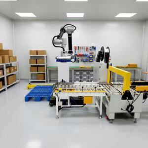 Robot empileur automatisé personnalisé à bon prix pour cartons, sacs et barils - Palettiseur robotisé - Product Image 1