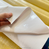 Bannière flexible en vinyle PVC pour l'extérieur personnalisée Impression numérique Solvant/Eco-Solvant Frontlit/Rétro-éclairé Durable AD FLEX Matériaux de marque