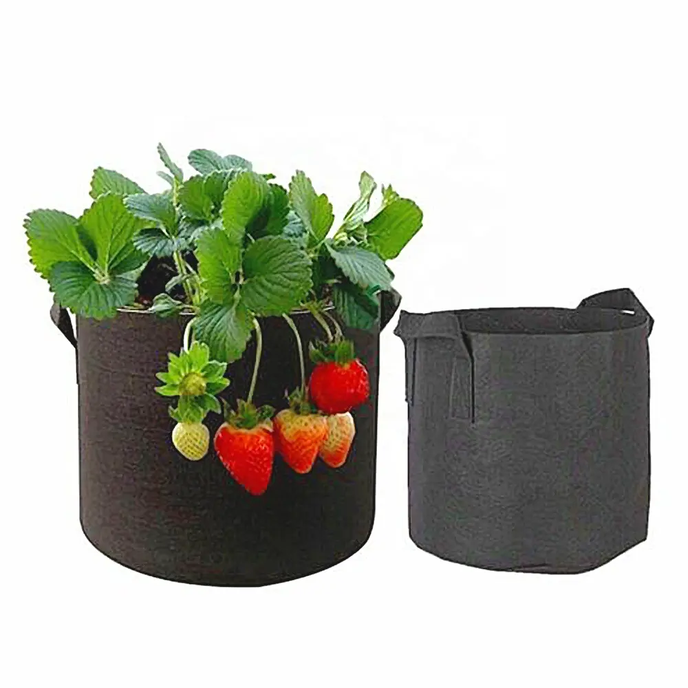 Personalizzato durevole feltro Non tessuto poli patate coltivazione vasi finestra sacchetti per ortaggi borsa per piantine per fragola cocopeat cocco