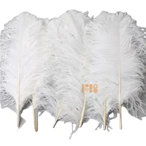 उच्च गुणवत्ता वाले डैड ओस्ट्रिक पंख 35-40 सेमी बड़े सफेद कार्निवल उत्सव उत्सव उत्सव के लिए पंख
