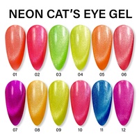 XGM NAIlS Gel UV Effet Œil de Chat Néon Glacé – Nouveau Gel Néon Effet Œil de Chat pour Service de Personnalisation de Logo Disponible