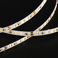 Tira de Luz LED Flexible de 10 mm, DC24V 12V, IP20, Personalizable, para Proyectos Comerciales, Centros Comerciales, Hogar, Oficina, Decoración de Árboles de Navidad