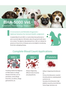 Getein BHA 5000 수의학 오픈 시약 5 부분 혈액 분석기 PET CBC 혈액 세포 카운터 수의사 클리닉 분석 - Product Image 3