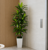 Plante artificielle Dracaena Fragrans de 180 cm, feuilles de sabre variegées, pour la décoration de café, boutique, hôtel, hall d'entrée, événements