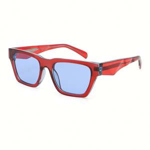 Gafas de Sol Personalizadas con Logotipo 2025, de Alta Calidad, para Hombre y Mujer, Protección UV400, Montura Pequeña, Estilo Ojo de Gato - Product Image 4