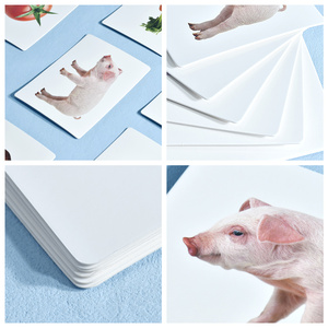 Cartes flash phoniques laminées imperméables effaçables à sec pour enfants de 4 à 8 ans, lecture, rhymes, traçage - Product Image 3