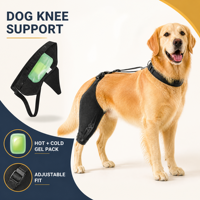 Attelle pour genou de chien FD603 avec compresse chaude et froide réutilisable pour la récupération et le soulagement de la douleur des articulations des pattes arrière des chiens