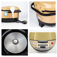 Autocuiseur Électrique Intelligent Multifonctionnel 5L pour Cuisine, avec Fonction Maintien au Chaud et Écran Numérique