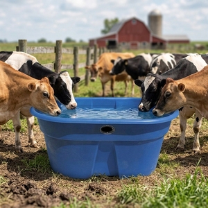 Nuovo Design resistente materiale PP materiale per bestiame durevole cavallo ovini bovini allevamento di bevande e <span class=keywords><strong>serbatoio</strong></span> di alimentazione animale <span class=keywords><strong>abbeveratoio</strong></span> animale - Product Image 1