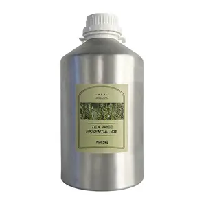 Huile d'arbre à thé vente en gros en vrac 100% huile d'arbre à thé essentielle naturelle supprimer l'acné et les boutons Remover utilisations-acheter l'huile d'arbre à thé