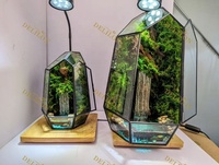 Terrarium en verre géométrique personnalisé avec mousse verte stabilisée, pot de terrarium, mousse préservée, conteneur pour plantes en verre
