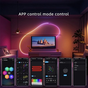 ไฟนีออน LED แบบแถบ 5V USB IC-RGB ควบคุมผ่านแอพ DIY ซิงค์เพลง กันน้ำ สีสันสวยงาม พร้อมรีโมทคอนโทรล - Product Image 6