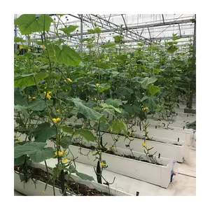 Çilek ve domates için PVC sera tarım hidroponik domates yetiştirme sistemleri oluk dikim çukur