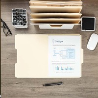 Carpetas Foska A4 FC, Tamaño Carta, Tamaño Legal, para la Escuela, Negocios, Oficina, Color Amarillo Manila, para Documentos y Papel, con Diseño de Pestañas de 1/3