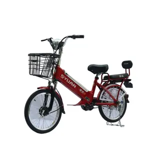 2020 New 20 Inch Lvjia E Bike 48V 10AH Battery Electrical Pedal Assist Electric Bicycle