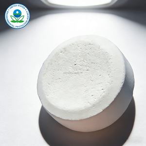 Chlorinateur de <span class=keywords><strong>piscine</strong></span> à dissolution lente pour usage extérieur, désinfectant et nettoyant chimique - Product Image 3