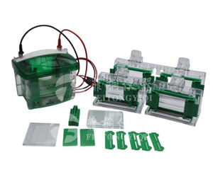 EPT-VT02 Белковая Вертикальная Электрофорезная ячейка для гелевого электрофореза размером 83x73 мм - Product Image 1