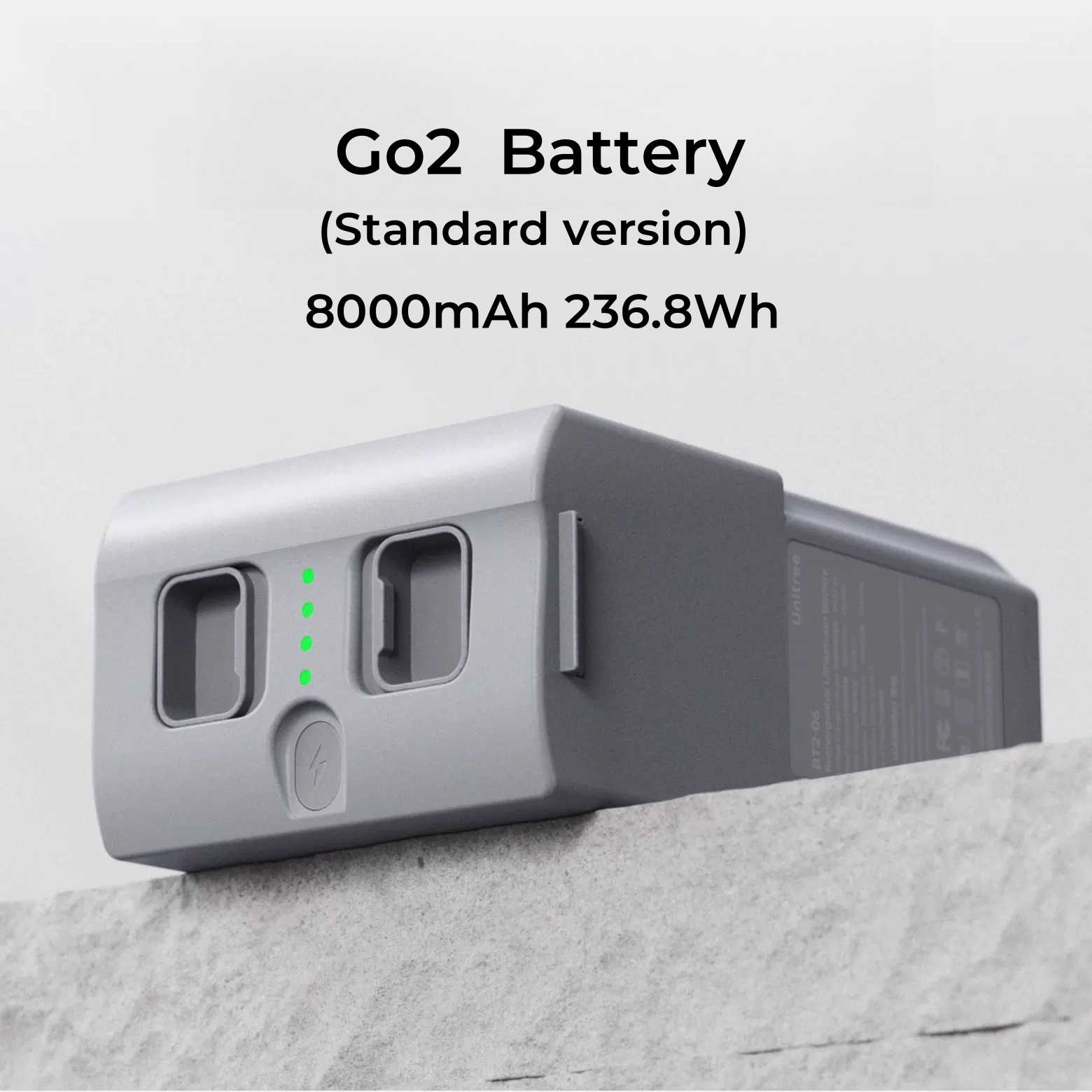 Batterie (version standard)