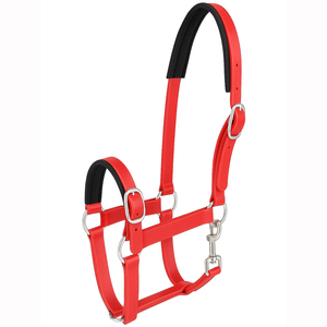 Impermeable personalizar Hardwar Turnout Draft Horse Cabestro PVC Nylon acolchado personalizado Pony <span class=keywords><strong>Pet</strong></span> proveedor Halter con ajuste - Product Image 1