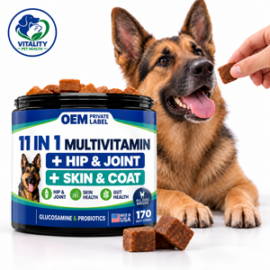 11-In-1 <b>Dog</b> Multivitamin Soft Chews Glucosamine <b>Probiotics</b> <b>For</b> All Ages <b>Dog</b> Hip Joint Skin Coat &Gut Health Private Label OEM - Product Image 1