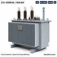 Transformateur de puissance immergé dans l'huile Tinda Power S13 1250 kVA, entièrement scellé, à enroulement en cuivre, 10 kV/0,4 kV, triphasé, à économie d'énergie, IEC 60076 CE