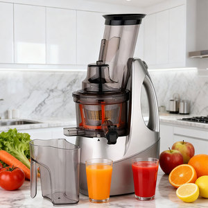 Presse-agrumes lente à froid à faible bruit pour la fabrication <span class=keywords><strong>de</strong></span> glaces aux fruits, vente chaude - Product Image 1