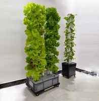 Grande tour de plantation hydroponique verticale PP PVC ABS fabriqué des serres agricoles pour une variété de plantes