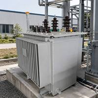 Parafoudre personnalisé intégré au transformateur immergé dans l'huile S13 11kV 33kV 1000kVA 1600kVA avec enroulement 100% cuivre pur