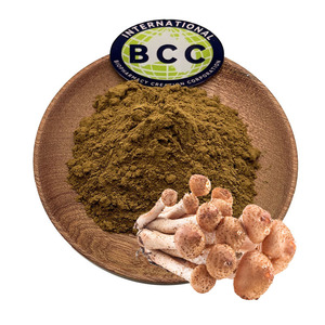 Extracto de Hongo Melena, Polisacáridos de Extracto de Hongo Melena, Extracto de Hongo Armillaria Mellea - Product Image 1