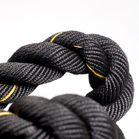 Cordes de combat d'escalade de gymnastique de taille personnalisée pour le fitness et la musculation pour l'exercice physique et l'entraînement pour le combat et la guerre