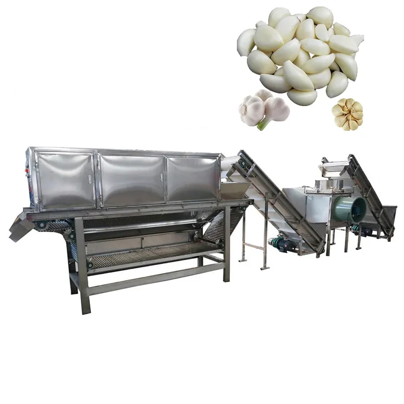 Máquina Eléctrica de procesamiento de ajo, línea de producción de polvo de ajo