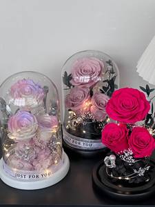 TC ของขวัญวันวาเลนไทน์ดอกไม้ที่เก็บรักษาสีสันสดใสกุหลาบในโดมแก้วดอกไม้สัมผัสจริงของขวัญดอกไม้สำหรับวันแม่ - Product Image 2