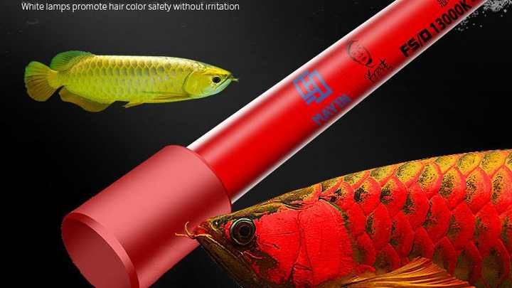 H1dc2ba0e1df94555920c21c3e8833