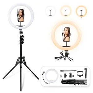 Anneau lumineux LED 12 "/33 cm, intensité variable, USB, lampe, éclairage annulaire, pour Selfie, photographie, vidéo, maquillage