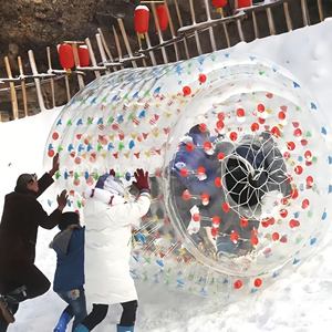 Boule <span class=keywords><strong>de</strong></span> protection gonflable pour humains <span class=keywords><strong>de</strong></span> haute qualité, rembourrée et souple, en PVC épais, pour les activités <span class=keywords><strong>de</strong></span> <span class=keywords><strong>ski</strong></span> et <span class=keywords><strong>de</strong></span> neige - Product Image 2