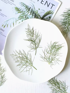 Tallo y hoja <span class=keywords><strong>de</strong></span> hinojo con ramas, manualidades <span class=keywords><strong>de</strong></span> bricolaje, fabricación <span class=keywords><strong>de</strong></span> plantas naturales, flor prensada real para Resina - Product Image 3