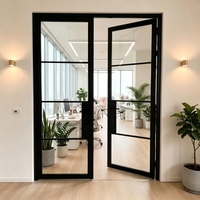 Puerta de Entrada de Vidrio Estilo Moderno para Villa Francesa con Marco de Acero y Hierro para Exteriores