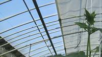 Filet d'ombrage agricole en HDPE résistant aux UV pour jardin, serre et abri pour plantes