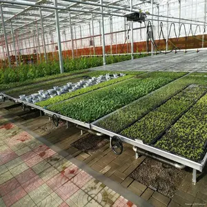 铝合金框架苗床温室播种苗床网