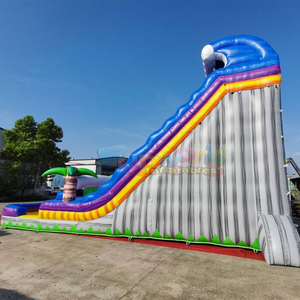 Dual lane toboggan aquatique gonflable kids outdoor bounce house inflatable tropical water <b>slide</b> with <b>pool</b> - Product Image 4