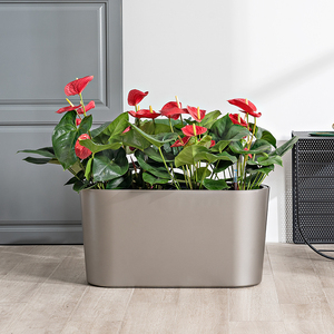 Vaso da fiori ispessito in plastica per irrigazione automatica semplice classico rettangolare balcone scatola di grandi dimensioni per il giardinaggio <span class=keywords><strong>a</strong></span> <span class=keywords><strong>casa</strong></span> - Product Image 4