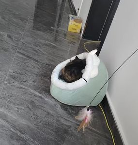 บ้านแมวกำมะหยี่เรียบสำหรับทุกฤดูกาลที่ทันสมัยพร้อมรังของสัตว์เลี้ยงที่บรรจุในกล่อง - Product Image 5