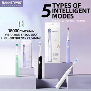 BANNER-cepillo <span class=keywords><strong>de</strong></span> dientes eléctrico para adultos, fabricante profesional barato, alimentado por batería, venta al por mayor - Product Image 2