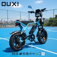 OUXI OEM Vélo Électrique Hybride Mini 250W, Batterie Lithium 36V, 16 Pouces, 7 Vitesses, Frein à Disque, Fatbike pour le Marché Européen