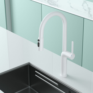 หัวก๊อกเหล็ก3ทางสำหรับห้องครัวสีขาวแบบคลา<span class=keywords><strong>ส</strong></span><span class=keywords><strong>ส</strong></span>ิกพร้อมส<span class=keywords><strong>เปร</strong></span>ย์แบบดึงลง - Product Image 4