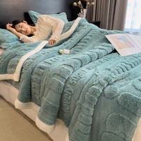 Neue Winter-Fleece-Decke, dick gefüttert, einfarbig, nordischer Stil, für Schlafsaal und Sofa, kleine Größe, Polyesterfaser, Großhandel, Export