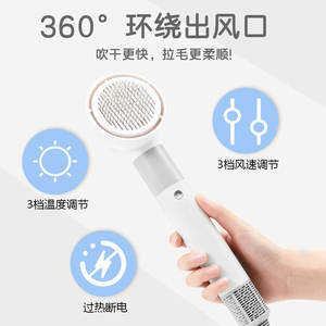 Sèche-cheveux pour toilettage des animaux de compagnie, peigne rechargeable pour chien, matériau ABS gris-blanc - Product Image 2